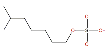 6-Methylheptyl sulfate